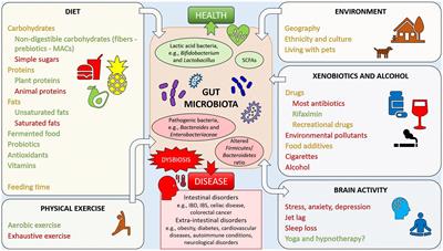 Exploring the gut microbiota: lifestyle choices, disease associations, and personal genomics